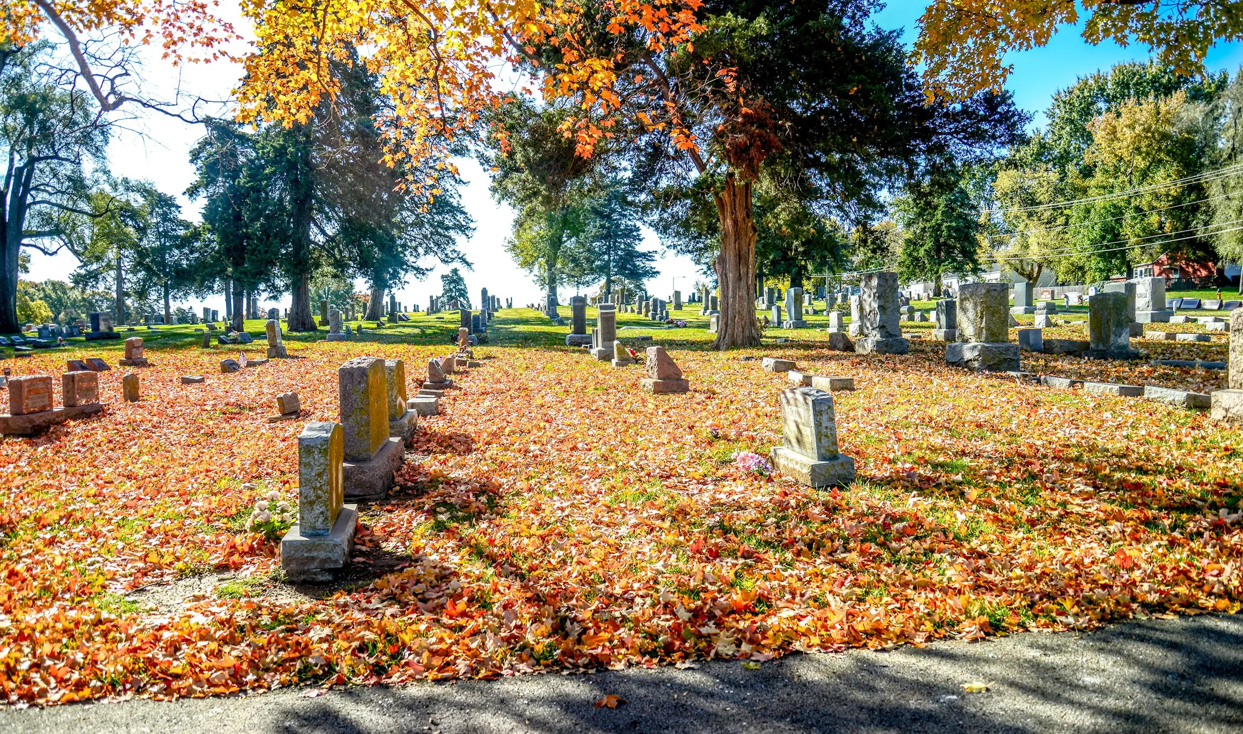 Shawnee Cemetery autumn leaves